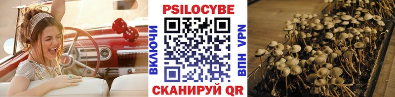 Псилоцибиновые грибы мухоморы  Новоалтайск 