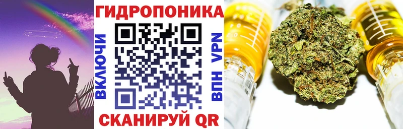 даркнет сайт  Новоалтайск  Конопля гибрид 
